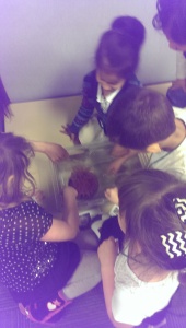 Touching animals as part of our class